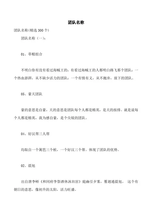 团队名称