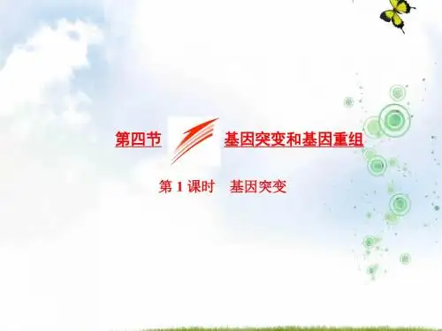高中生物苏教版必修2课件：第四章 第四节 第1课时 基因突变