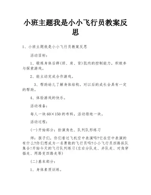 小班主题我是小小飞行员教案反思