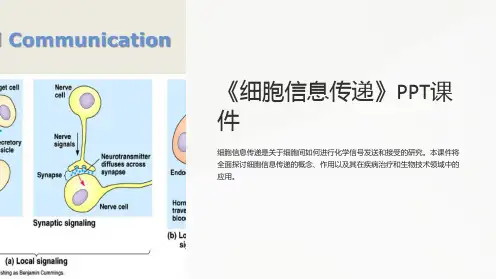 《细胞信息传递》课件