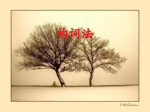 高三英语复习：提升词汇量的利器  高中英语构词法精品课件 (共28张ppt)