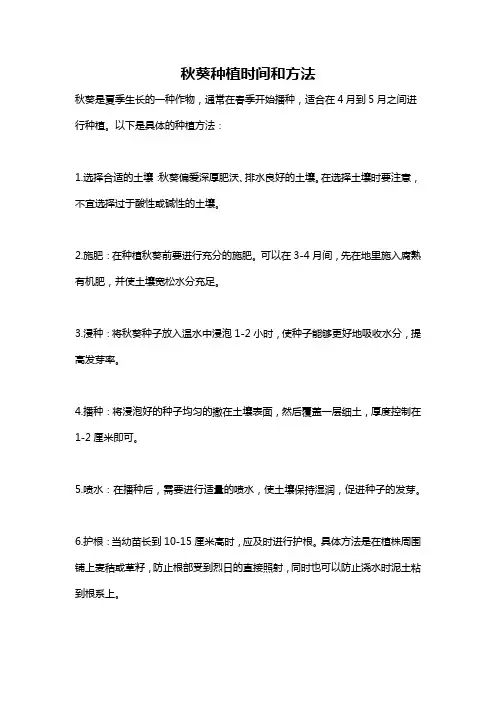 秋葵种植时间和方法