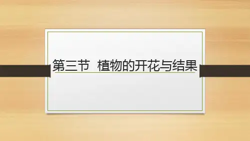 3.2.3++开花与结果++课件-2023-2024学年人教版生物七年级上册