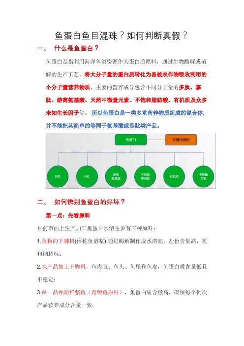 鱼蛋白如何区分真假？