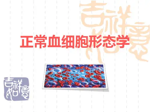 血象与骨髓象.