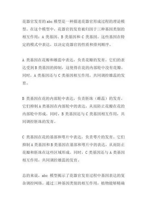 简述花器官发育的abc模型