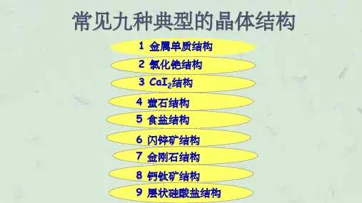 常见九种典型的晶体结构课件