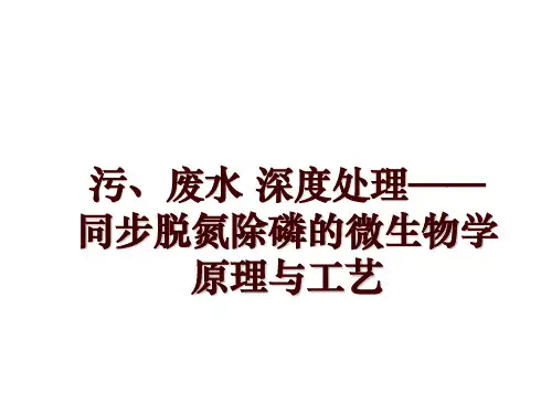 污、废水 深度处理——同步脱氮除磷的微生物学原理与工艺