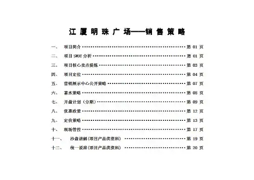 翟明彦——江厦明珠商业地产整合营销策略