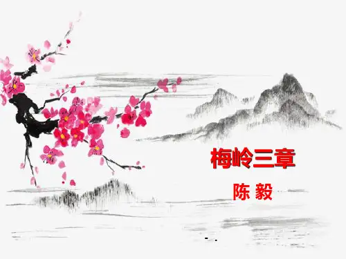 《梅岭三章》PPT优秀课件
