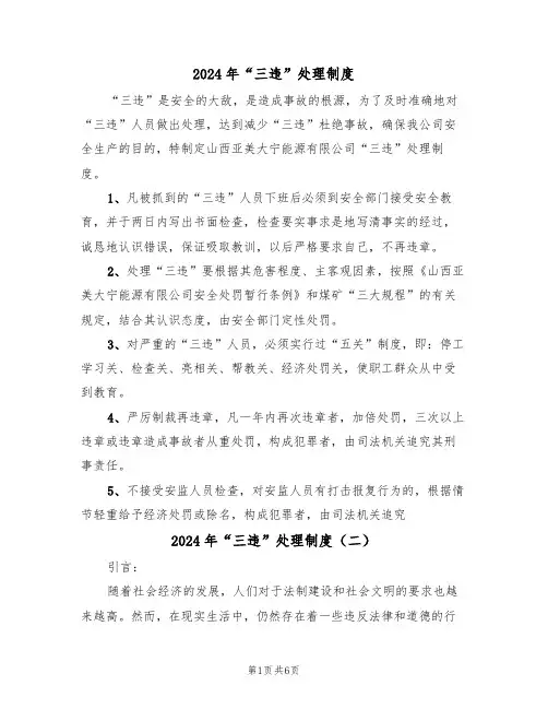 2024年“三违”处理制度（三篇）