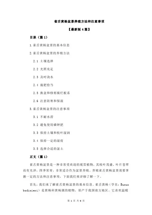 雀舌黄杨盆景养殖方法和注意事项