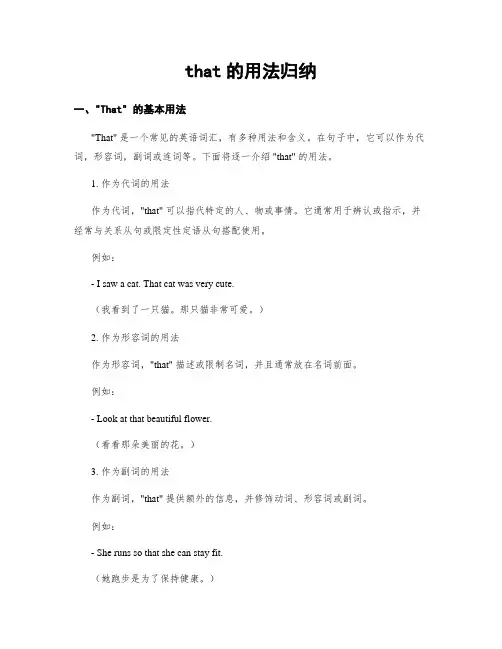 that的用法归纳