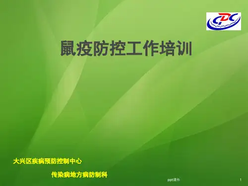 鼠疫防控知识  ppt课件