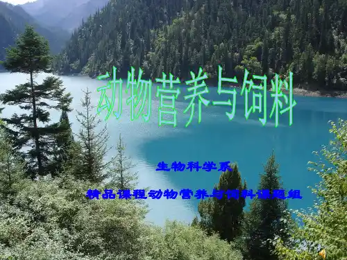 饲料配方 ppt