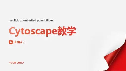 专题Cytoscape教学
