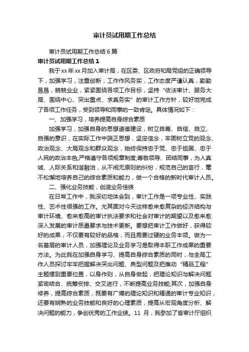 审计员试用期工作总结6篇