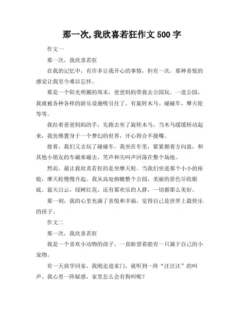 那一次,我欣喜若狂作文500字
