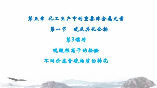  化工生产中的重要非金属元素 第一节 硫及其化合物 第3课时 课件 新人教版 高中化学必修第二册