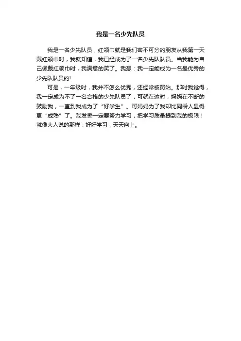 我是一名少先队员