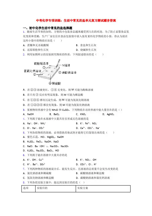 中考化学专项训练：生活中常见的盐单元复习测试题含答案