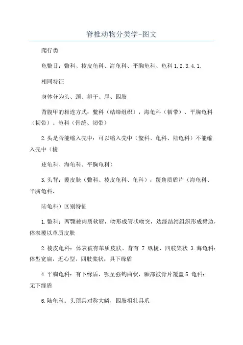 脊椎动物分类学-图文