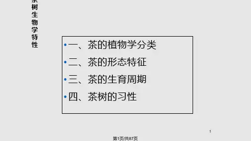 茶树种植管理PPT课件