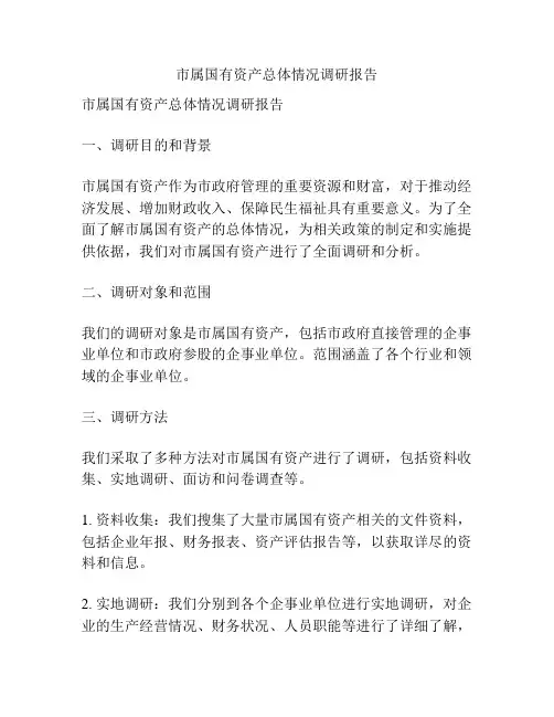 市属国有资产总体情况调研报告
