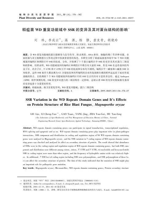 稻瘟菌WD 重复功能域中SSR 的变异及其对蛋白结构的影响