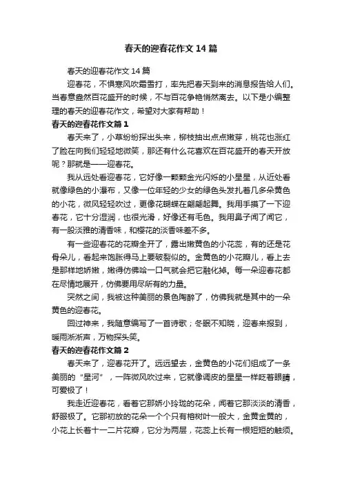 春天的迎春花作文14篇