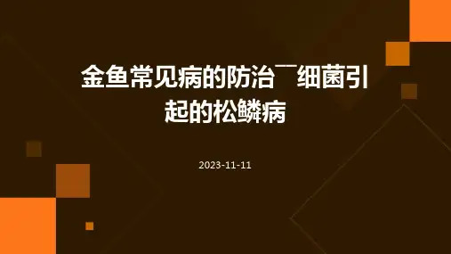 金鱼常见病的防治――细菌引起的松鳞病