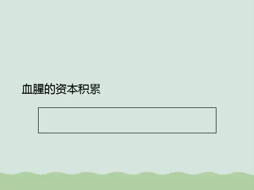 资本的积累过程PPT(共35页)