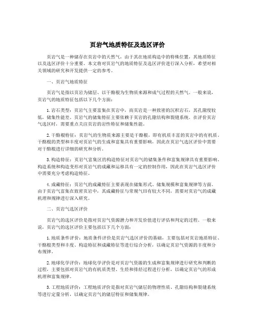 页岩气地质特征及选区评价