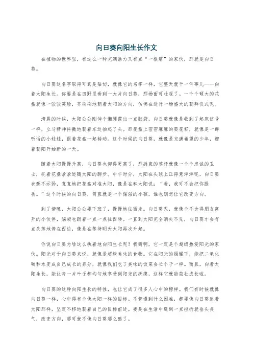 向日葵向阳生长作文
