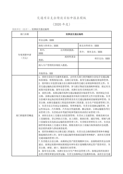 交通项目支出绩效目标申报表模板