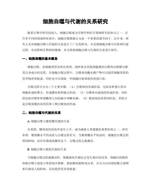 细胞自噬与代谢的关系研究
