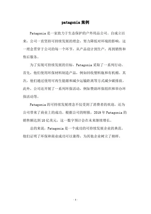 patagonia案例