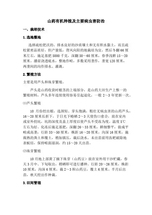 山药有机种植及主要病害防治