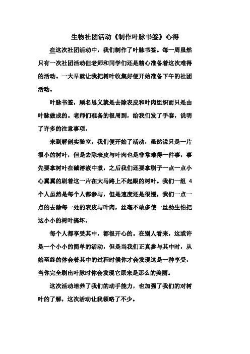 制作叶脉书签心得体会