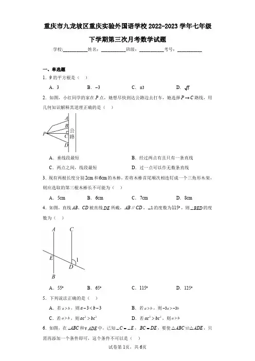 重庆市九龙坡区重庆实验外国语学校2022-2023学年七年级下学期第三次月考数学试题