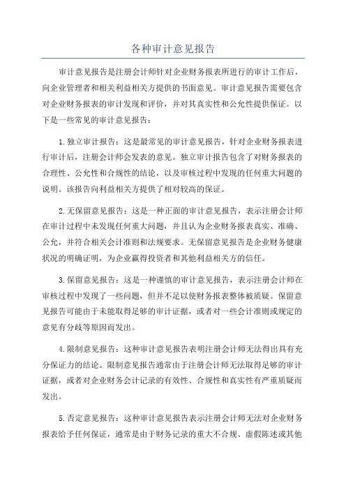 各种审计意见报告