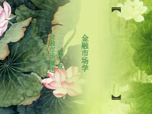 金融市场概述(案例丰富)