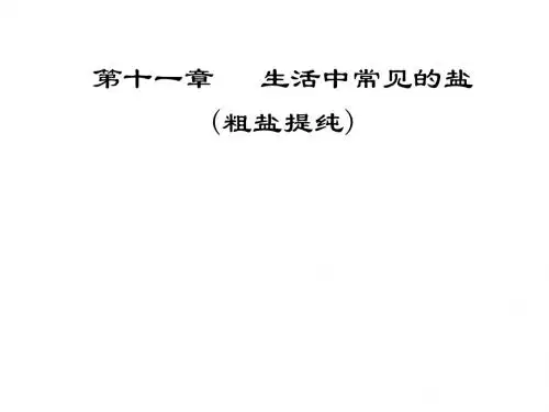 粗盐提纯课件