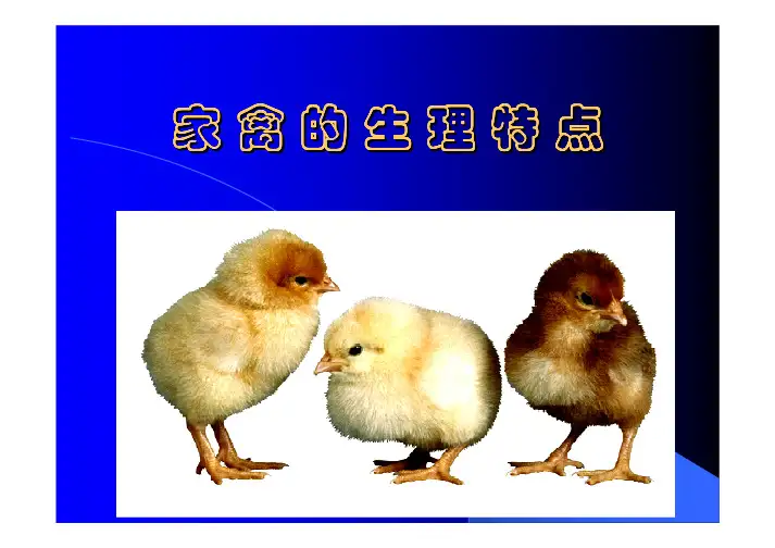 动物生理学（兽医教学）11家禽的生理特点