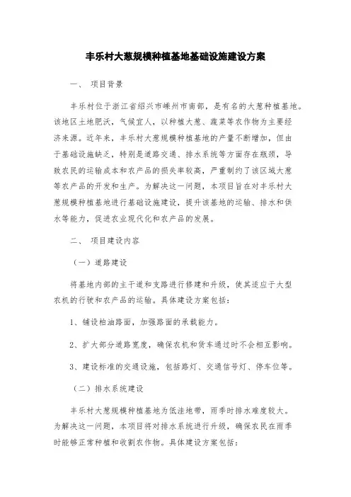 丰乐村大葱规模种植基地基础设施建设方案