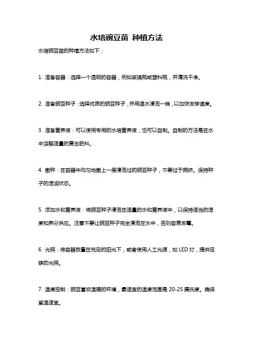 水培豌豆苗 种植方法