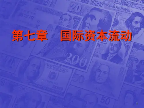 第七章国际资本流动案例