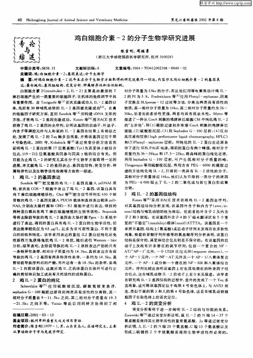 鸡白细胞介素—2的分子生物学研究进展