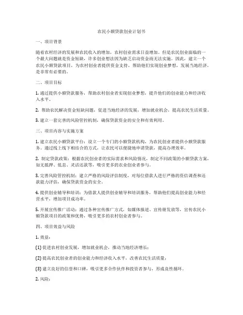 农民小额贷款创业计划书