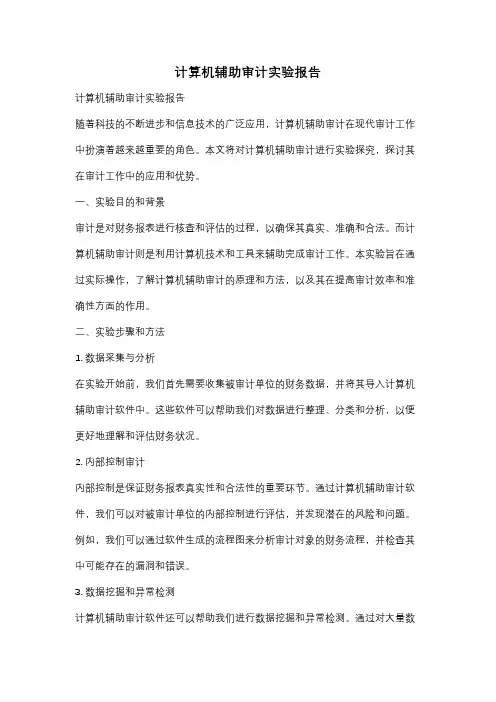 计算机辅助审计实验报告